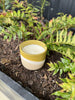 Delaney Planter Candle